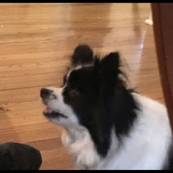 Meet your Posher, Adrian - Picture 1 of 1